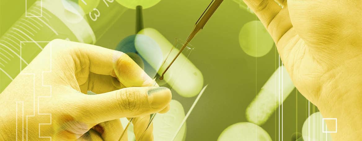 Capsule manufacturing process on the production line